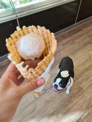 Macey also wanted some!🥰🤣 at Dolce Gelato in Laguna Beach
