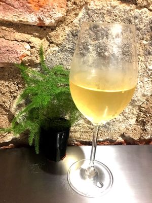 Tempranillo !!!! at Sat Nam in Antigua