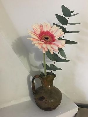 Ambiant at Sat Nam in Antigua