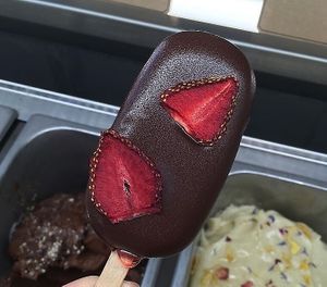 strawberry and chocolate ice cream ( 100% vegan and organic) at Essenza in Grosseto