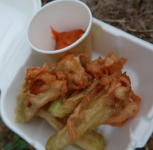  at Essenza in Grosseto