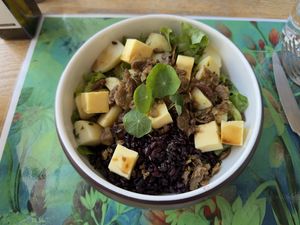   at Essenza in Grosseto