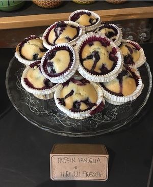 blueberries and vanilla vegan muffin at Essenza in Grosseto