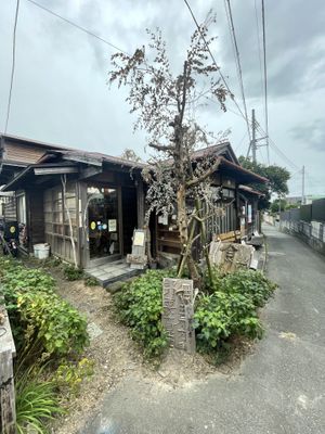   at Shokudo Pace in Kamakura