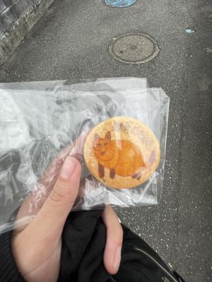   at Shokudo Pace in Kamakura