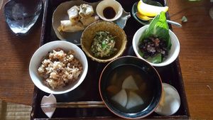Vegan spring roll set at Shokudo Pace in Kamakura
