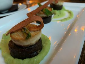 Scallops & black pudding  at Harmonium in Edinburgh