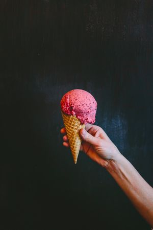 Vegan raspberry gelato. at Jasmine Greens - Kiosk in Umina Beach