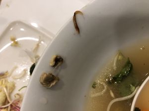 Cow in veg pho at Pho Bac Vietnamese in Makati