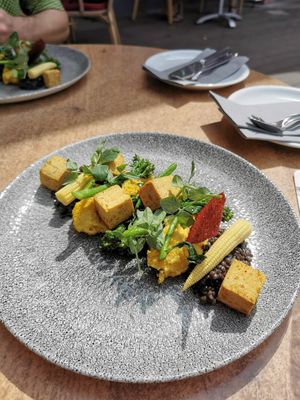 Curry mit Polenta und gebackenem Tofu at Zum Strandläufer in Ahrenshoop