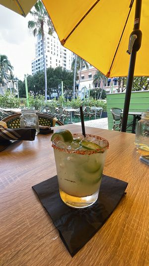   at Avocado Grill in West Palm Beach