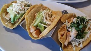 tacos at Tocaya Modern Mexican in Santa Monica