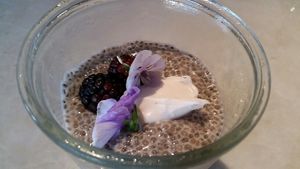 vegan chia pudding at Tocaya Modern Mexican in Santa Monica