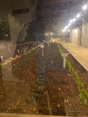 Home grown veg  at Terra Madre in Alberobello