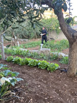   at Terra Madre in Alberobello