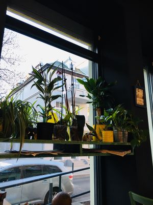 the decoration  at Vegan Port Pizza & Restaurant in Gdansk