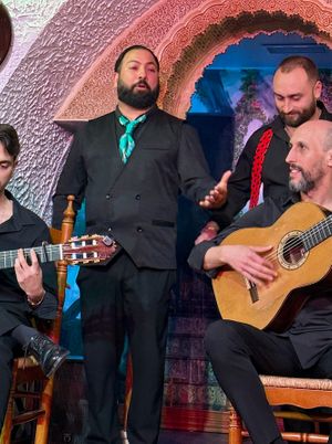 Flamenco Show at Tablao Flamenco Cordobes in Barcelona