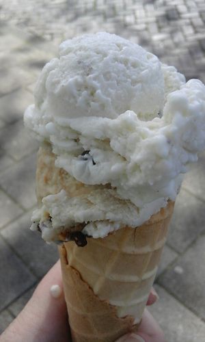 chocomint and coffee vegan icecream at JuiceBrothers - Haarlemmerplein in Amsterdam