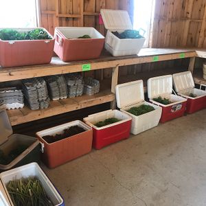 produce at Brown's Farm Stand in Boothbay Harbor