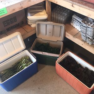 asparagus  at Brown's Farm Stand in Boothbay Harbor