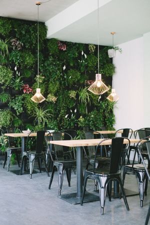 Einrichtung at Edelgrün in Cologne