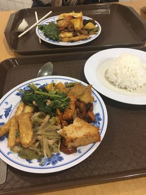 20RM the 2 plates at Zhun San Yen Vegetarian in Kuching