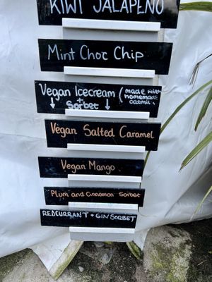 Vegan sorbet and ice cream flavours   at James's at The Putting Green in Nairn