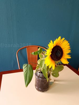 Interior at OAS Cafe in Kalmar