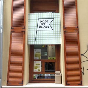 Dogs Like Ducks window at Dogs Like Ducks in Lviv