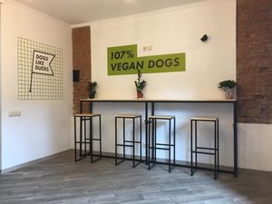 Interior at Dogs Like Ducks in Lviv