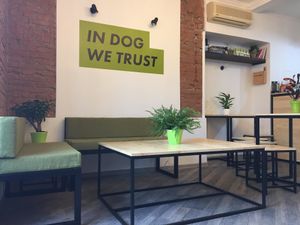 Interior at Dogs Like Ducks in Lviv