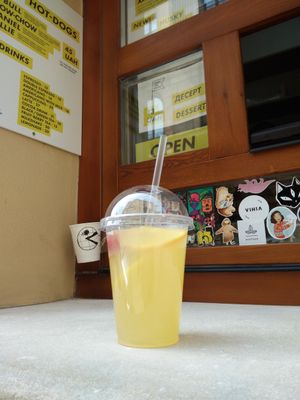 Lemonade with cranberries! at Dogs Like Ducks in Lviv