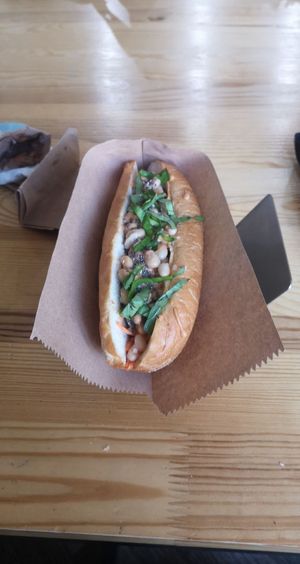 Husky at Dogs Like Ducks in Lviv