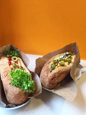 Hot-dog Pitbull and Collie at Dogs Like Ducks in Lviv