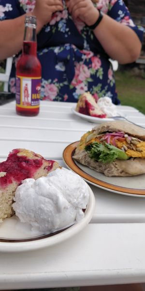 A red currant cake and vanilla Ice cream and a sourdough sandwich! at Cafe Nyfiket in Raettvik