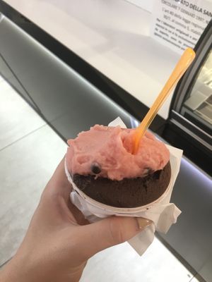 melon with choc chips and dark chocolate at Al Gelatone in Palermo