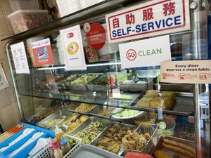 Vegetable rice, bee Hoon , kuay teow, etc at Healthy Vegetarian 健康素食 in Central Singapore