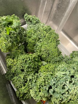  at The Natural Grocer in Newburyport