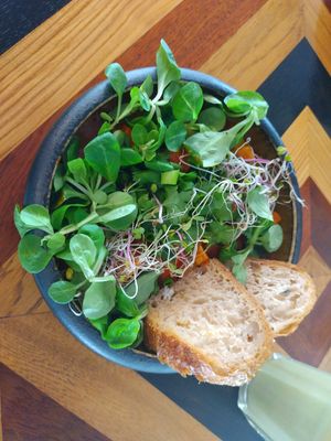 Vegan shakshouka at FC Caffe in Wroclaw
