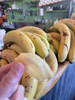 Fresh jackfruit - Thanks Mike!  at Loko Wraps in Kailua Kona