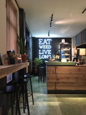 Location at The Dutch Weed Burger - Food Truck in Amsterdam