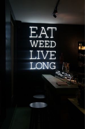 Eat weed live long at The Dutch Weed Burger - Food Truck in Amsterdam