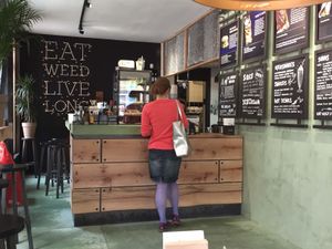Counter at The Dutch Weed Burger - Food Truck in Amsterdam