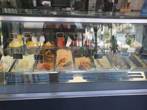 All vegan flavours at Fresca Passione Heladeria in Marbella
