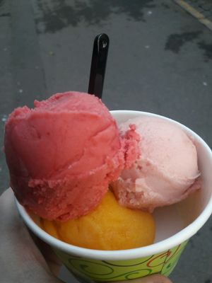 House-made sorbet at Ro Chokolade in Copenhagen