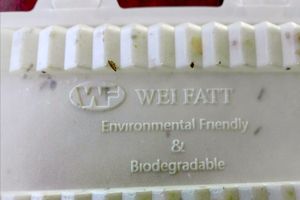 Environment Friends take wat package at Vegan Spark in Paramaribo