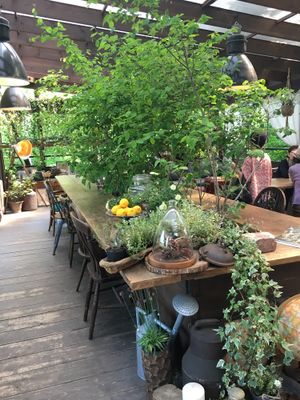 Indoor garden setting at RK Garden in Karuizawa