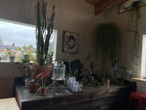   at Jet Black Coffee Company - Gateway in Portland