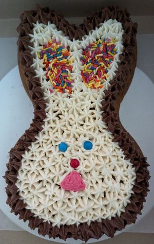 10" chocolate chip cookie at Food Fight Vegan Grocery - Halsey St in Portland