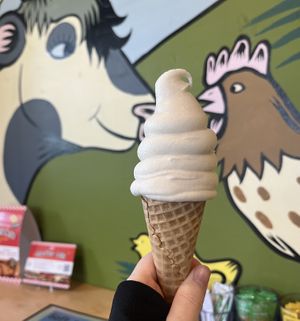 Vanilla soft serve   at Food Fight Vegan Grocery - Halsey St in Portland